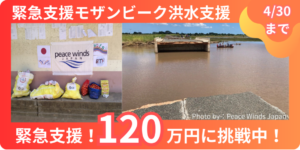 緊急支援モザンビーク洪水支援